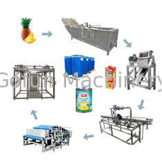 SS304 Extracteur industriel de jus d'ananas 1500 t/jour 380 V