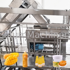 Chaîne de fabrication automatique de purée de l'installation de transformation de la mangue 10T/H 440V
