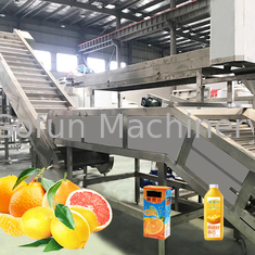 Certificat professionnel d'OIN de l'installation de fabrication d'agrume de mandarine 5T/H
