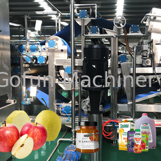 10 - Projets clés en main de chaîne de fabrication de jus de pomme d'automatisation du SUS 304 de 100T/D