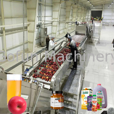 10 - Projets clés en main de chaîne de fabrication de jus de pomme d'automatisation du SUS 304 de 100T/D