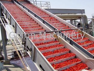 Le PLC commandent la chaîne de fabrication recyclage de tomate de machine de traitement des denrées alimentaires des produits alimentaires de l'eau