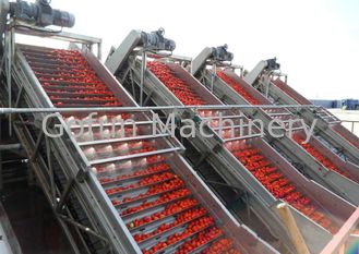 Ligne industrielle chaîne de fabrication l'eau de transformation de légumes de sauce tomate sauvant l'opération facile