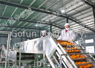 Opération facile d'installation de transformation de citron/440V d'agrume de HPP chaîne de fabrication