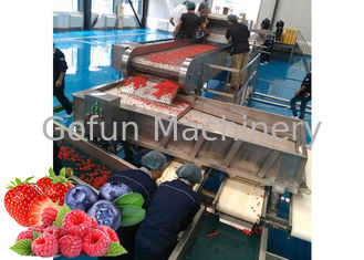 SUS 304 Berry Processing Equipment 10-100T/D de fruits secs
