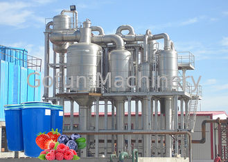 Machine de production d'équipement/jus de traitement de baie de myrtille de fraise