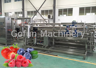 Ligne machine de développement ISO9001 de transformation de fruits de nettoyage de CIP de jus de fraise