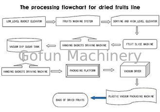 Dessiccateur industriel de fruit de haute performance pour la pêche de mangue de poire d'Apple