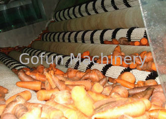 Installation de transformation industrielle de carotte/installation de fabrication stable de carotte