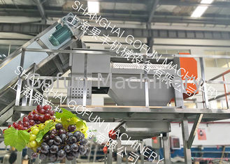 Chaîne de fabrication stable système de jus de raisins de 20 t/h de pressing de vide d'extracteur