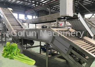 Tension végétale de la concentration 220V en jus de capacité élevée de machine de presse-fruits de large échelle