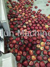 CE Apple automatique industriel Juice Processing Machine 7.5kw SUS304