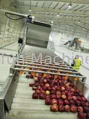 Rendement élevé Apple Juice Processing Line Machine SUS316 30T/H 7.5kw