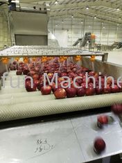 380V 50Hz ligne de production de confiture de pommes / jus 2t / h économie d'eau