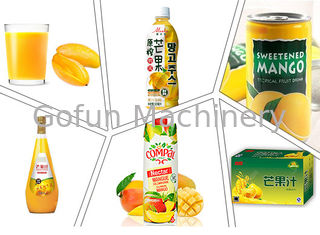 Juice Extracting Mango Processing Line concentré 25T/H