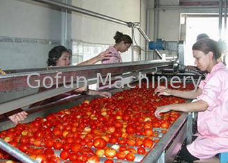 Chaîne de fabrication 380V de 304 tomates d'acier inoxydable de catégorie comestible multifonctionnelle
