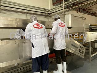 Chaîne de production adaptée aux besoins du client de pulpe de mangue de 10T/H solides solubles