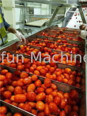 Chaîne de fabrication chaîne de fabrication haute performance de la tomate SS304 de ketchup de 20T/H