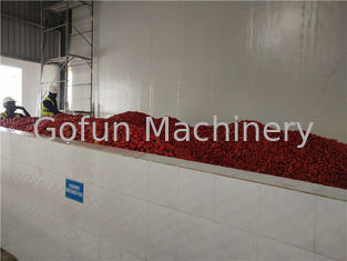Chaîne de fabrication 2000T/D de tomate de GV concentrant la chaîne de fabrication de ketchup