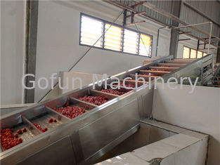 Installation de transformation industrielle de purée de tomate de 250T/D 440V