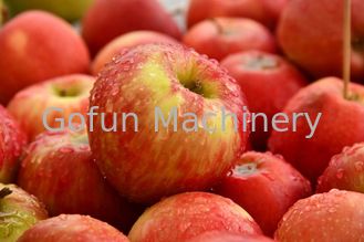 Chaîne de fabrication de jus de fruit automatique de Ss304 Apple faisant la machine 380V