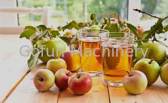 SS316 concentré Apple Juice Processing Plant 25t/H pour la boisson