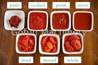 Chaîne de fabrication économie de sauce à sauce tomate de 304 concentrés d'acier inoxydable de l'eau
