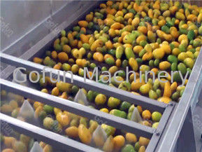 Mangue concentrée complètement automatique Juice Production Line Water Saving