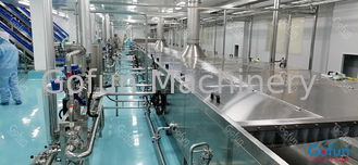 installation de fabrication industrielle de la mangue 500kg/H pour le jus 300T/D