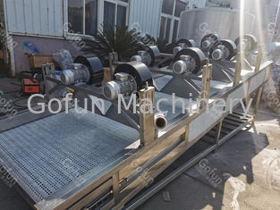 Sacs aseptiques 10 de machine de développement de la mangue 304/316L de SUS - 100T/D