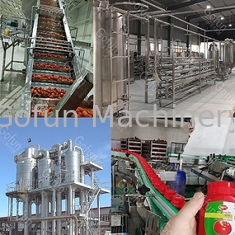 Ligne de production de tomates de qualité alimentaire SUS304 personnalisée 100T/D