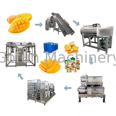Ligne de transformation automatique du jus de mangue en acier inoxydable industriel 1 - 10 t/h