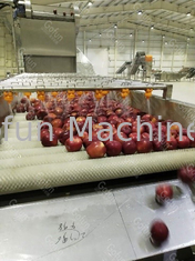 Confiture de 10 t/h Apple faisant à machine la ligne automatique 15kw de transformation de fruits