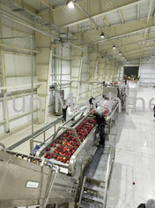 Chaîne de fabrication de jus de fruit automatique de Ss304 Apple faisant la machine 380V