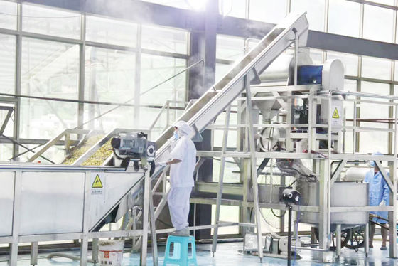 Turnkey Free - Drying Industrial Fruit Dryer  Safety Control For Operators