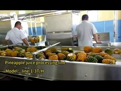 comment le jus d'ananas est fait dans l'usine|jus d'ananas| line-1-3T/H