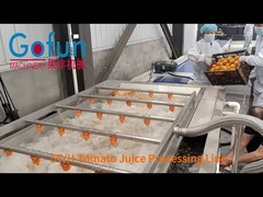 5h/t machine complète pour la fabrication de jus de tomate