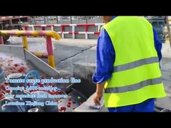 Quelles machines sont nécessaires pour produire de la sauce tomate?