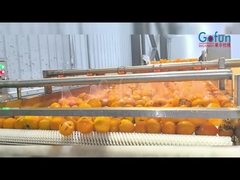 La ligne de production industrielle de traitement des jus NFC, un ensemble complet de nettoyage, de extraction des jus, de stérilisation et de