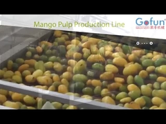 ligne de production de purée de mangue ensemble complet de machines pour les usines de transformation de jus