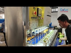 Machine de pellicule de mangue commerciale de pommes de terre de papaye de carotte spéciale de pellicule à grande vitesse