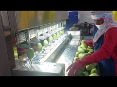 Machine intelligente de pelure de pommes de terre pour les lignes de transformation de fruits et légumes avec 8 ensembles de couteaux