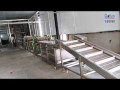 Équipement de transformation de fruits tropicaux: pâte + jus + fruits secs trois en un