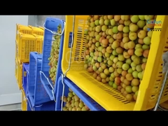 Une ligne de transformation de pâte de prune d'une capacité de 5 tonnes par heure, adaptée aux entreprises chinoises