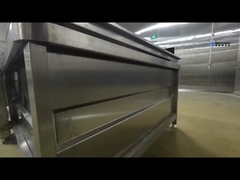 Machine de nettoyage automatique de fruits et légumes Ensemble complet de lignes de nettoyage pour fruits et légumes