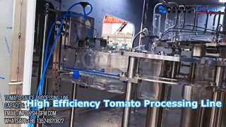 Ligne de traitement industrielle de pâte de tomate, solution clé en main