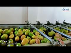 Ligne de production de jus de mangue premium