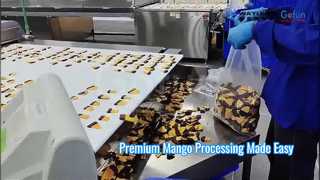 Ligne de transformation de mangue de qualité supérieure, solution de mangue séchée molle et moelleuse