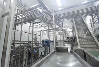 Mangue Juice Processing Line High Efficiency de l'acier inoxydable 300T/D