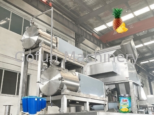 Le PLC a commandé la chaîne de fabrication 20T/H 440V d'ananas aseptique de sac